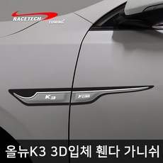 레이스텍 올뉴K3 전용 스타일리쉬 3D입체 휀다 가니쉬, 1개