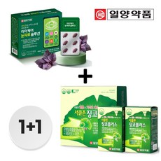 [1+1 특별행사][일양약품 본사직영]서클존 징코플러스(4개월분) + 아이케어 눈피로 솔루션(1개월분) / 은행잎추출물 기억력 개선 혈행 개선 + 차즈기추출물 눈의 피로도 개선, 60정, 2개