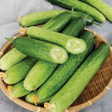 [맛딜]아삭아삭 신선한 국내산 백오이 1kg, 1개