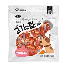 딩고14