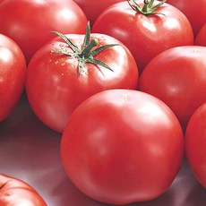 토마토10kg