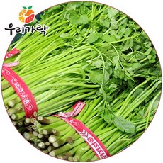 미나리4kg