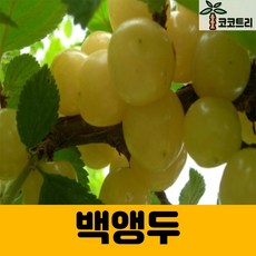 849dd483b10ad075aac5b8902cac364fa889c5fb255ae89bb84fe92be8d6.jpg