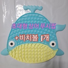 대왕비치볼