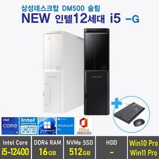 삼성 데스크탑5 DM500 슬림 + 12세대 i5 + Win11 Pro 포함, 램16GB + SSD 512GB, Windows11 Pro, DM500 슬림 12세대 i5 -G