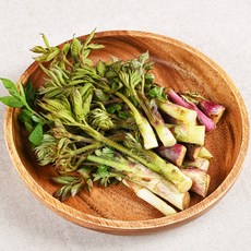 자연산 참두릅 땅두릅, 500g, 4개