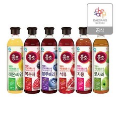 청정원 홍초 900ml 6종 2개 골라담기[35040413]137634, 복분자+석류