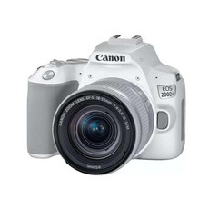 캐논입문용dslr