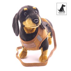 찰리스백야드하네스