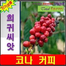 e2e73354ef6dabd9a54fb628c536dabe363f2e6f7a26f6e5780c377bd617.png