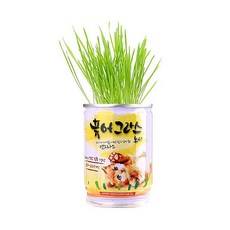 고양아쿠아플라넷