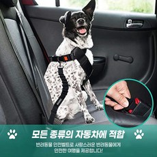 체리레이 반려동물 차량 안전벨트 휴대용 그릇 2p [1213], 1개