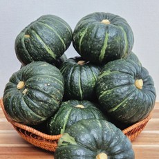 국산] 산지직송 미니밤호박 밤호박 미니 보우짱 햇 밤단호박 보짱, 1박스, 2kg