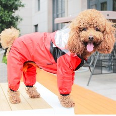 다이소애견우비