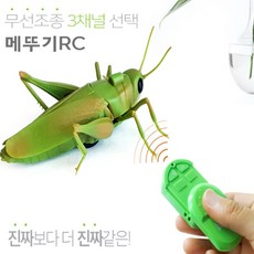 메뚜기장난감