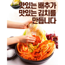 주문 제조 국내산 배추김치 김치를 이루다, 1개, 10kg