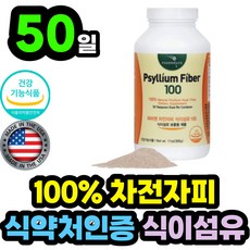 임산부차전자피