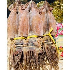 [물회 먹방아저씨] 포항 구룡포 마른 오징어 1.2kg(20미) 당일배송