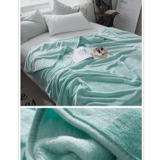 양모이불여름에