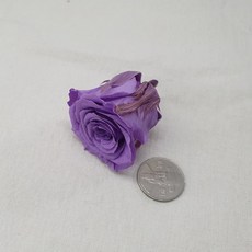 0ee17c183c46c98cb5897b004bebb471beeb20907c72543193a1445d998c.jpg