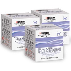 포티플로라고양이