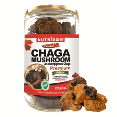 100% 캐나다산 뉴트리돔 야생 차가버섯 225 grams Canadian Chaga Mushroom Chunks, 225g(1개), 1개