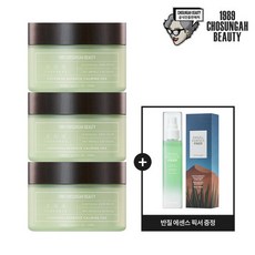 반질올