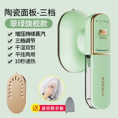 딜루비스스팀다리미