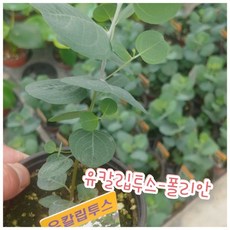 57a285f381be2ed3d872d5e15e8f5f56b5510310d83a959d57049f9f2b97.jpg