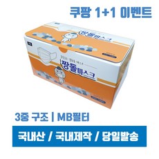 라시뎀마스크1+1