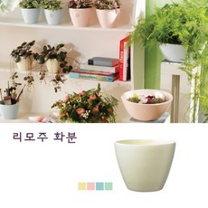 리모지