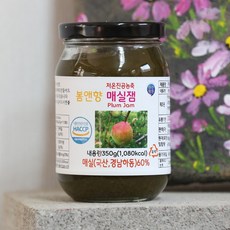 광양황매실
