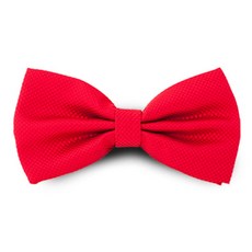 돌잔치나비넥타이