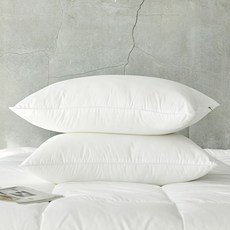 보보홈알러지케어호텔