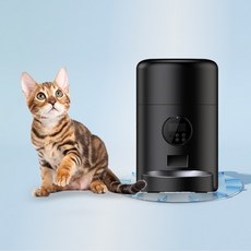 디클펫트리와이파이