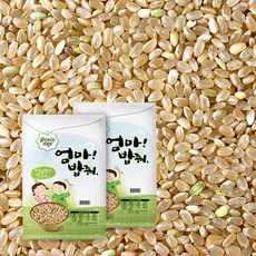 현미 20kg 햅쌀 국산 현미쌀 (10kgX2개) 엄마밥줘 진공포장, 2개