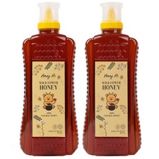 허니하이 프리미엄 천연 벌꿀 2kg 베트남 아카시아 야생화 잡화 꿀, 2개