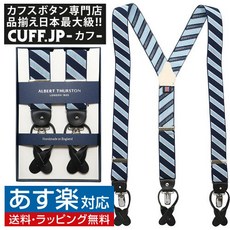 알버트서스턴서스펜더y형