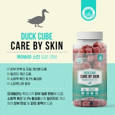 케어워크