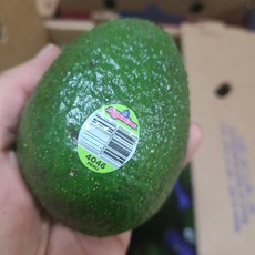 페루산 아보카도 아보카드 생아보카도 중과 대과, 1개
