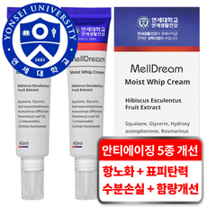 연세생활건강 멜드림 5중 안티에이징 스킨부스터 데일리 모이스트 휩 크림, 2개, 40ml - 프리메라맨