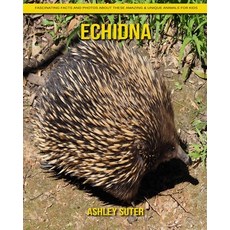 Echidna: Fascinating Facts and Photos about These Amazing & Unique Animals for Kids Paperback, Independently Published