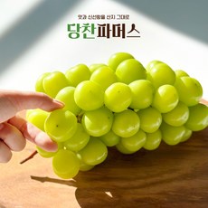 [당찬파머스] 당도보장 알이굵은 고당도 샤인머스켓 포도, 1박스, 2kg(2송이/왕왕)