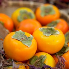 지역별제철음식