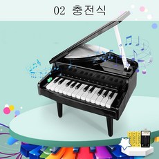 HY 피아노 완구 악기놀이 영아완구 어린이 미니피아노 여아 영유아 아기 피아노건반 초학 영아 전자오르간 장난감 음악 건반 연주 QH14 A28, 02 충전식