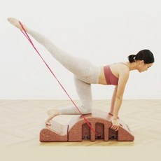 트라택필라테스스파인코렉터