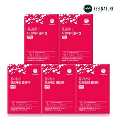 필네이처 몽모랑시 타트체리 콜라겐 젤리 스틱 30포 저분자 콜라겐 스틱, 30포 x 5박스