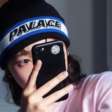 팔라스 비니