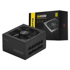 Segotep GM850W 80PLUS GOLD 풀모듈러 ATX 3.1 (PCIE5.1) 파워 블랙 (ATX 850W), 1개, 선택하세요