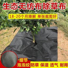 a7369e84a8b496f6b0f6b1b0a78d1cc7a149c53e172c55617873bf460bac.jpg